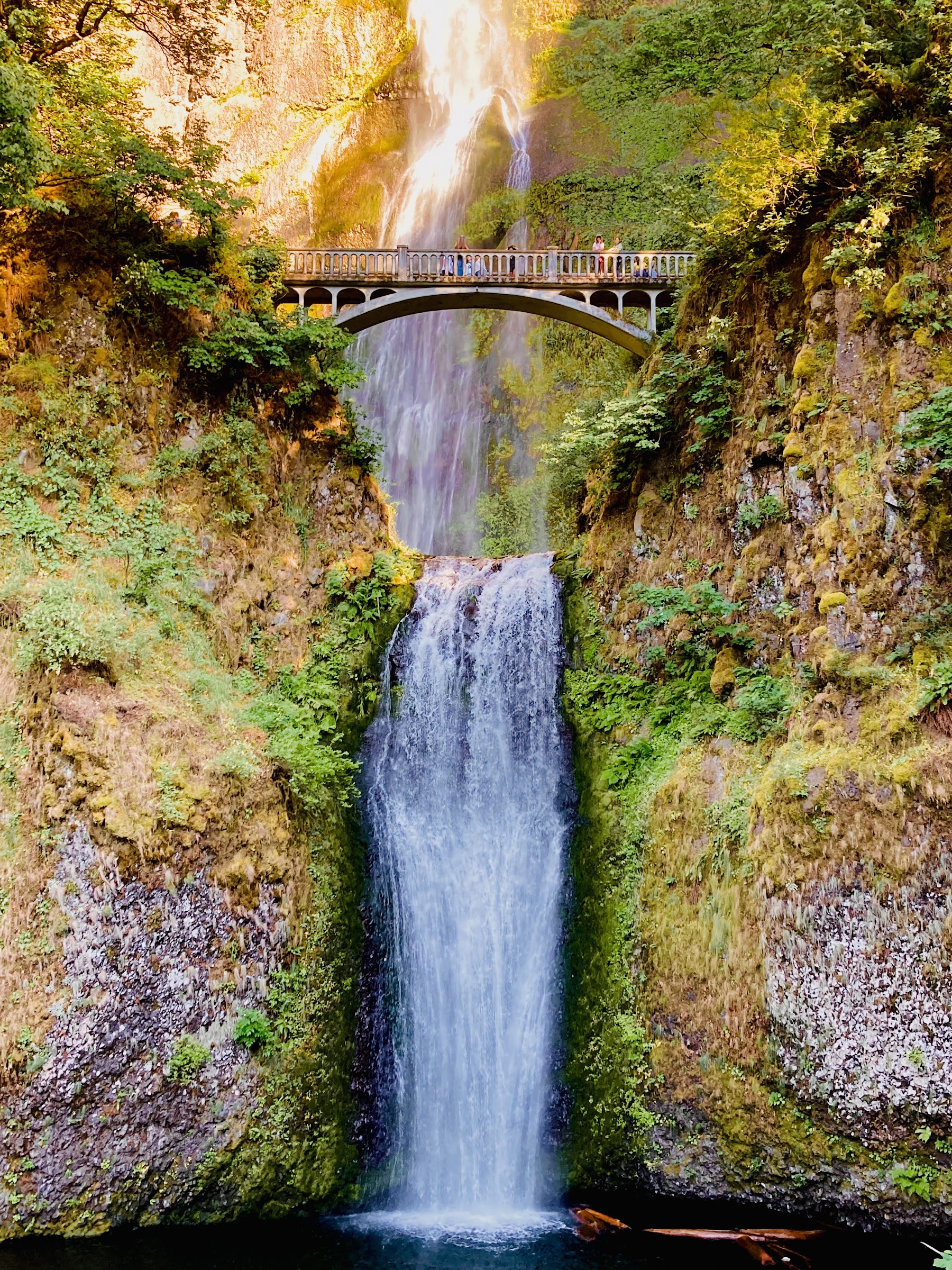 The two-tiered Multnomah Falls is framed by the Benson Bridge as it plunges into a pool below.