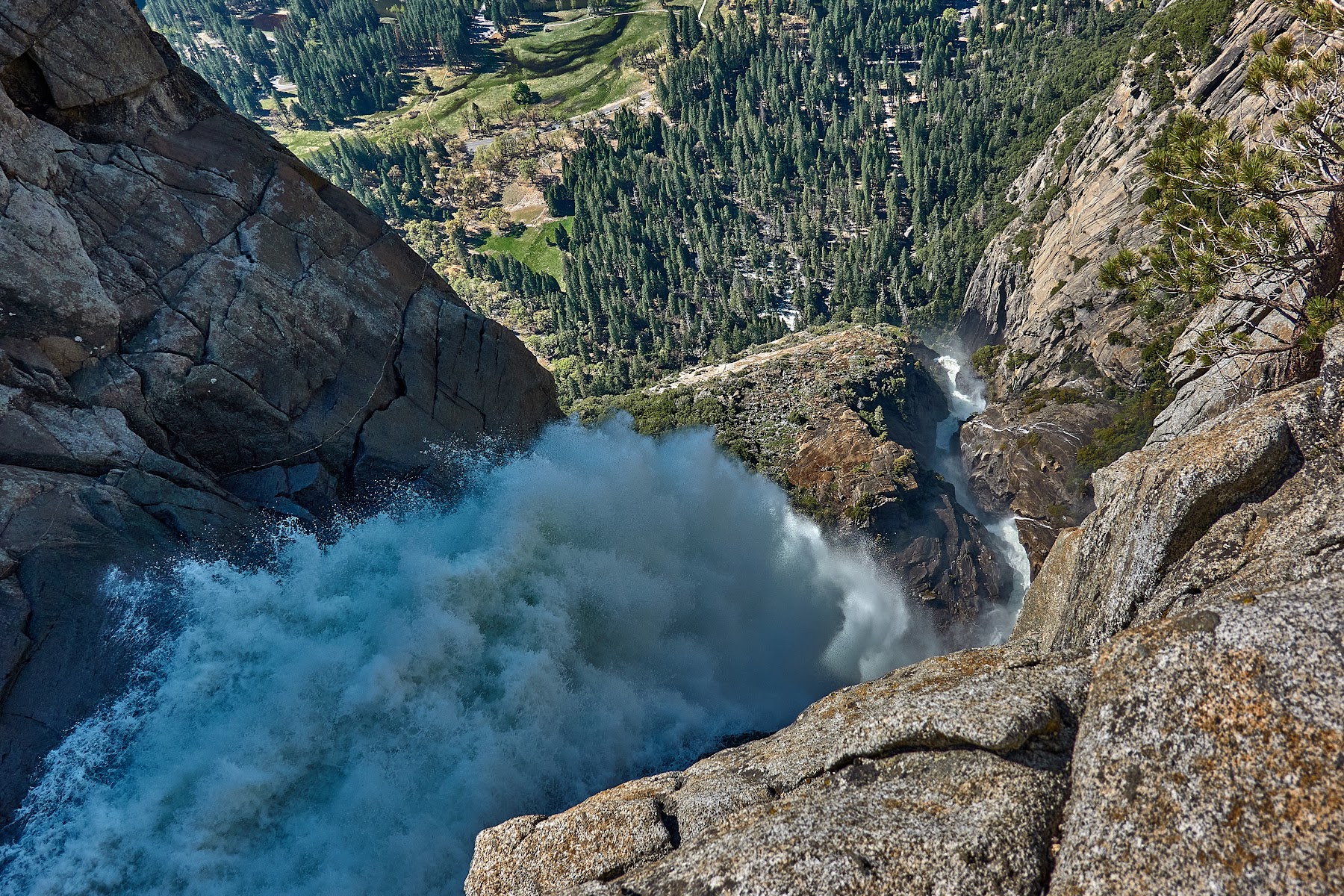 The full expanse of Yosemite Falls cascades down a massive granite cliff into the valley.