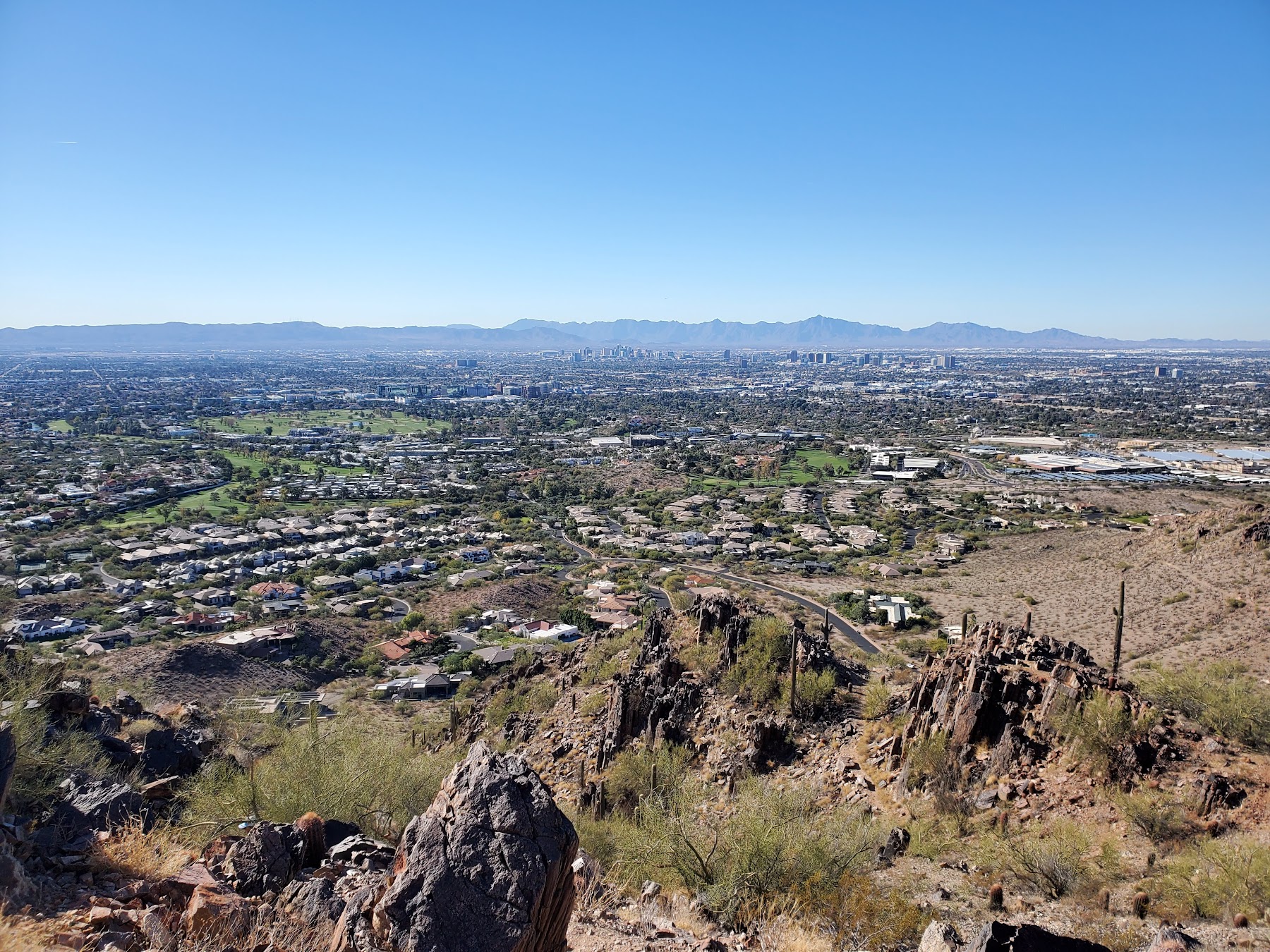 A desert hiking trail winding through saguaro cacti in the Phoenix Mountains Preserve with the city in the distance.