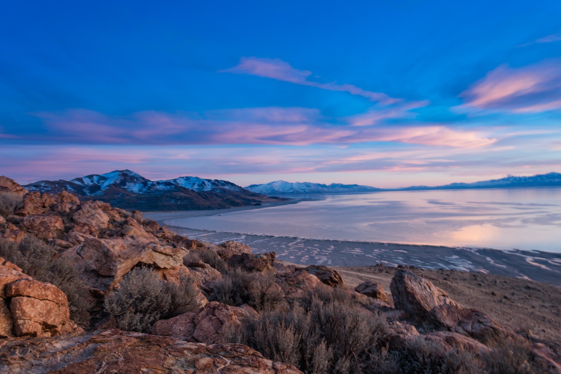 Bison grazing on the grassy plains of Antelope Island with the Great Salt Lake in the background.