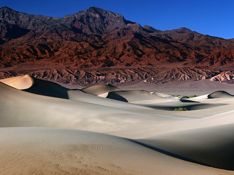 The rugged, golden-hued landscape of Zabriskie Point in Death Valley National Park.