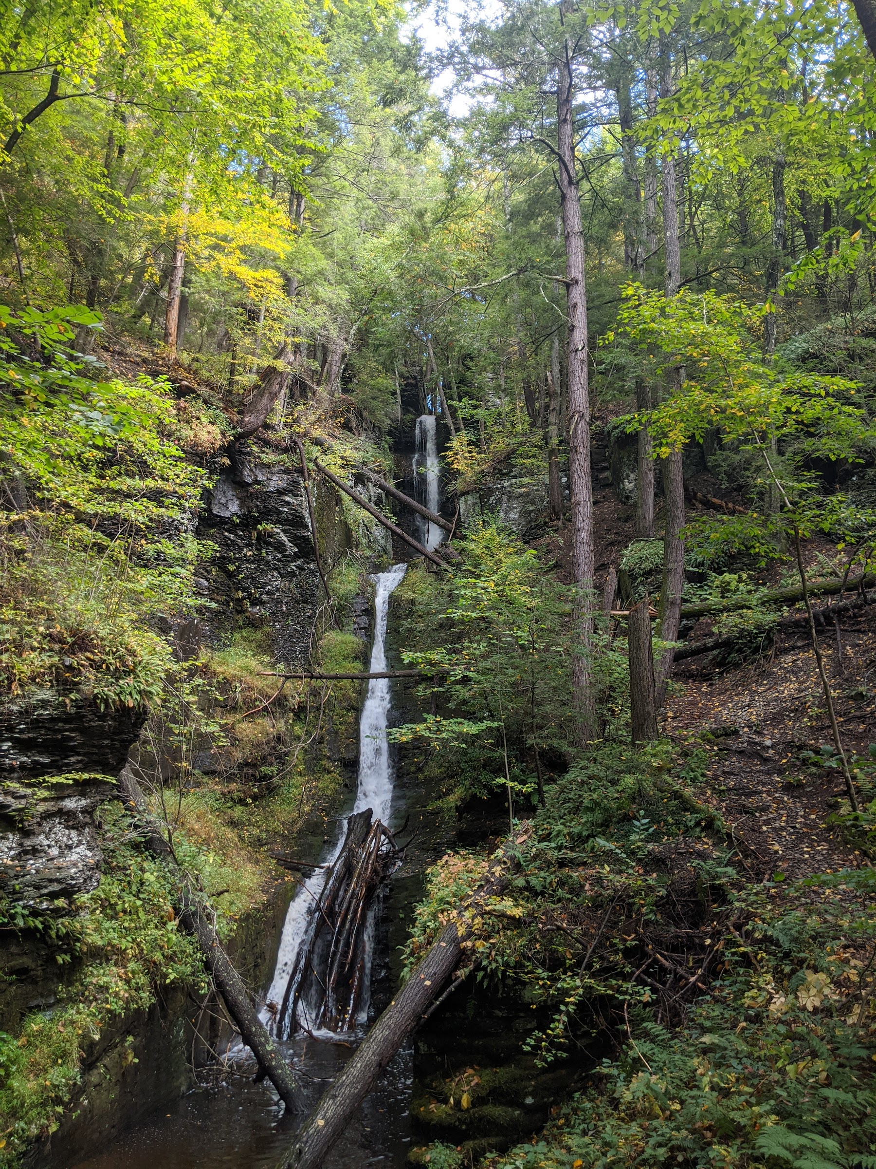 The wooden boardwalk trail leading through a lush green forest towards Dingmans Falls.