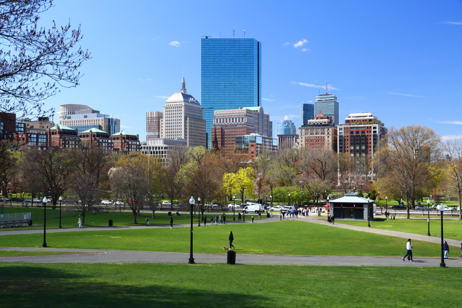 Lush green trees and walking paths in Boston Common