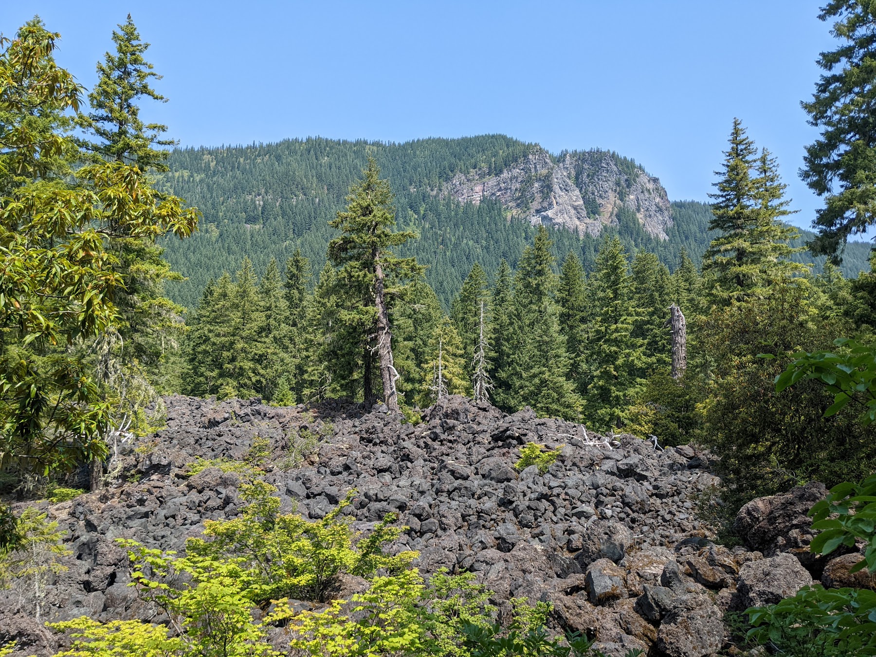 The delicate veil of Proxy Falls cascading over a mossy cliff into a rocky basin below.