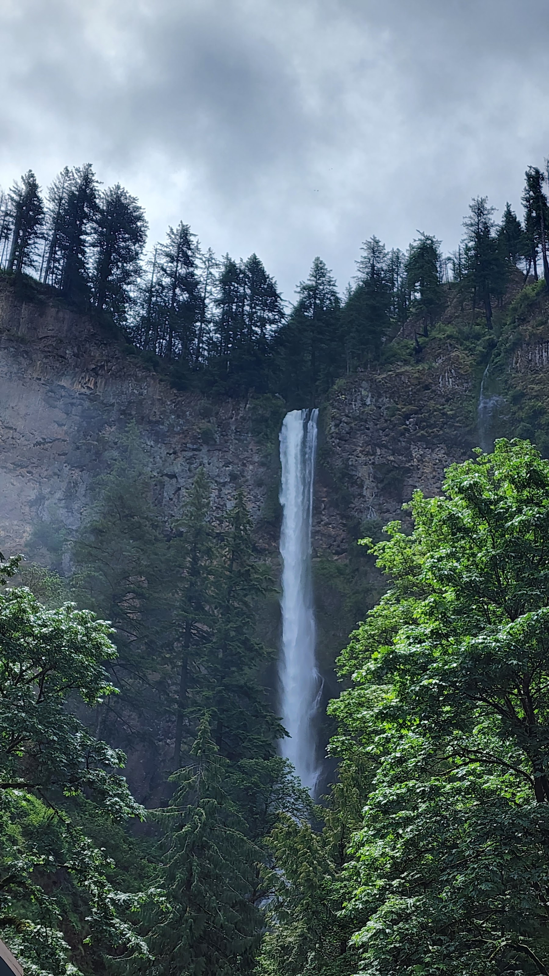 A wide view of the two tiers of Multnomah Falls with the Benson Bridge in the middle, surrounded by lush green cliffs.