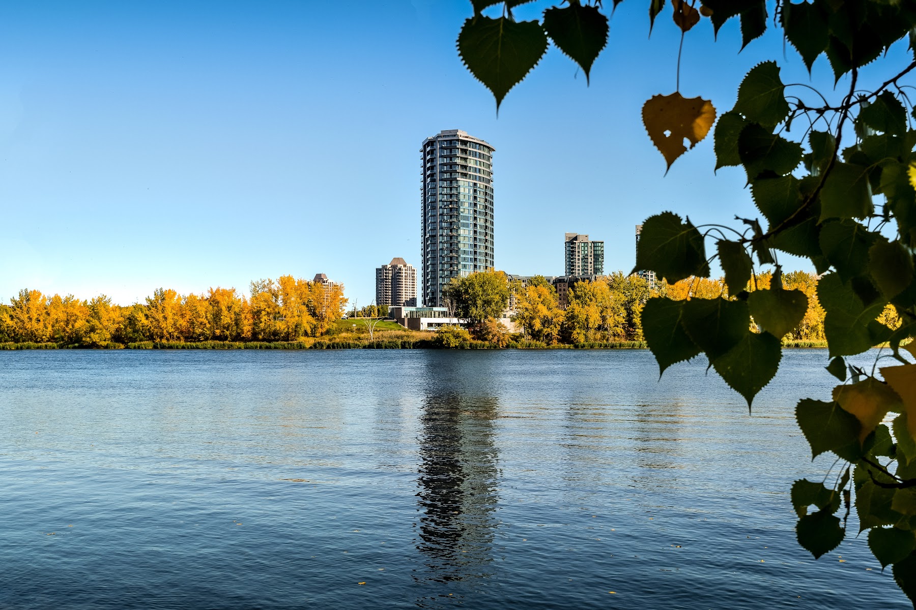 The skyline of Montreal, Canada, with modern skyscrapers and historic buildings.